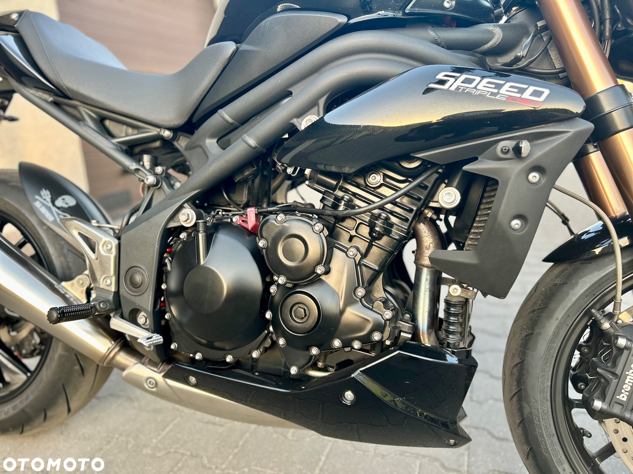 Triumph Speed Triple - 24