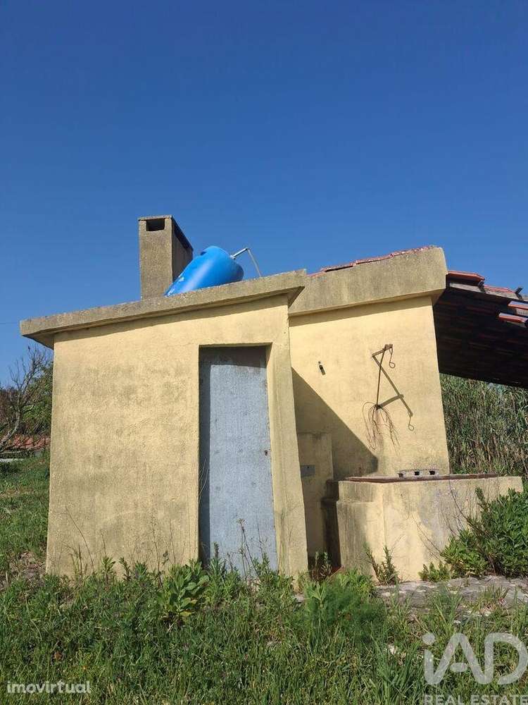 Terreno Agrícola em Alcobaça e Vestiaria - Grande imagem: 4/12