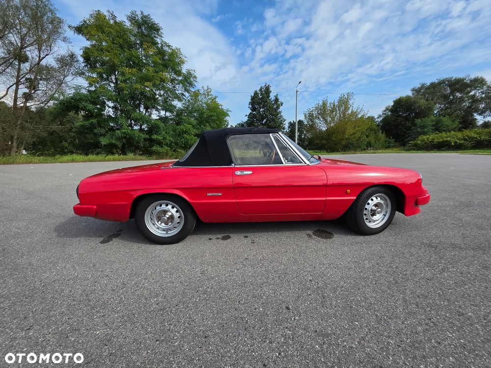 Alfa Romeo Spider - 17