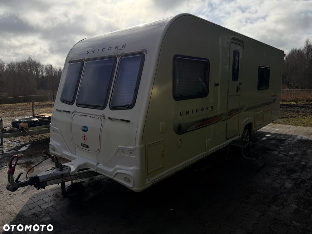 Bailey Unicorn Valencia - 6