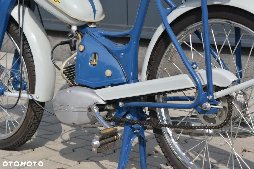 Komar Inny - 6