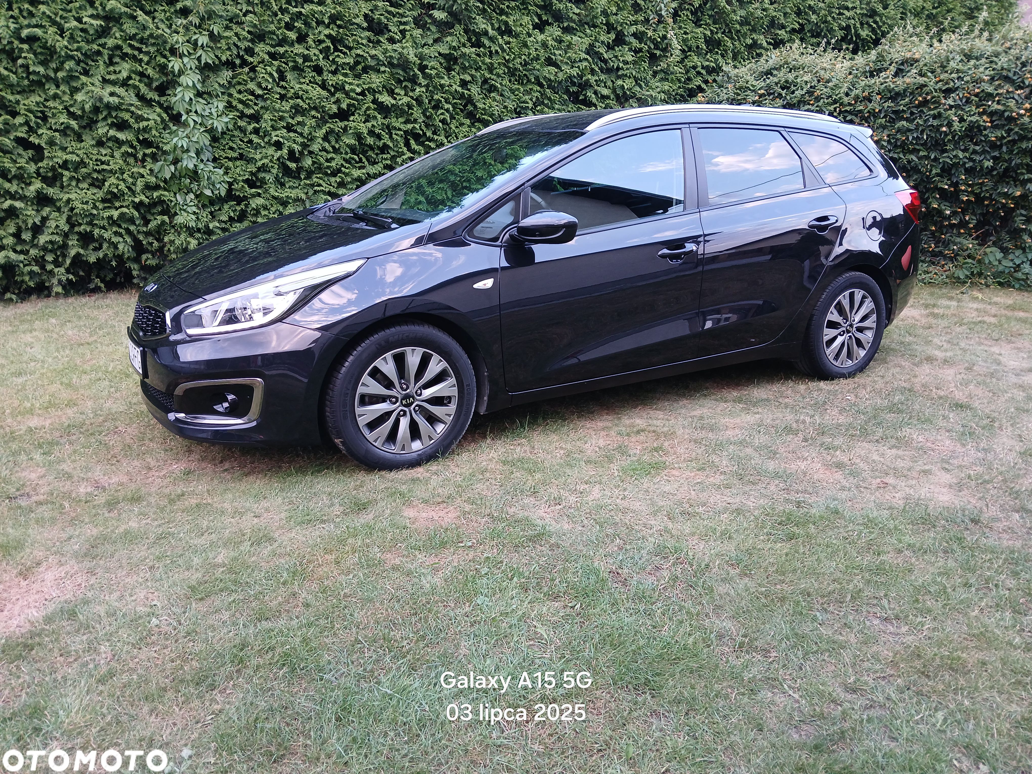 Kia Ceed - 1