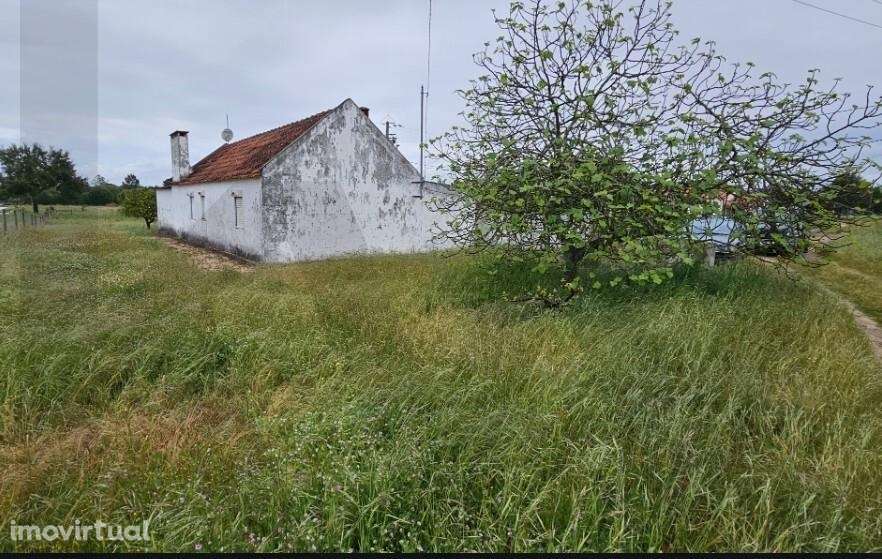 Quinta para Reconstrução a 25 Min das Praias da Comporta - Grande imagem: 4/21