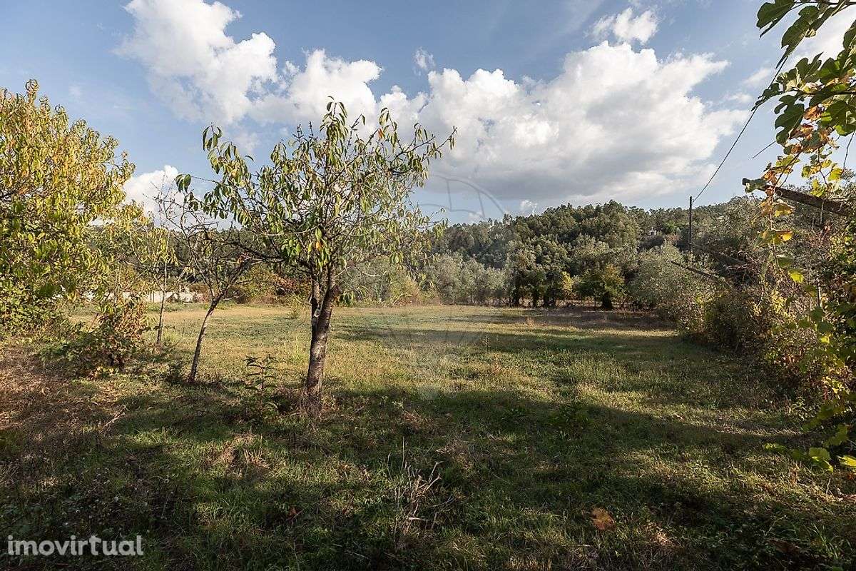 Terreno  para venda - Grande imagem: 2/7