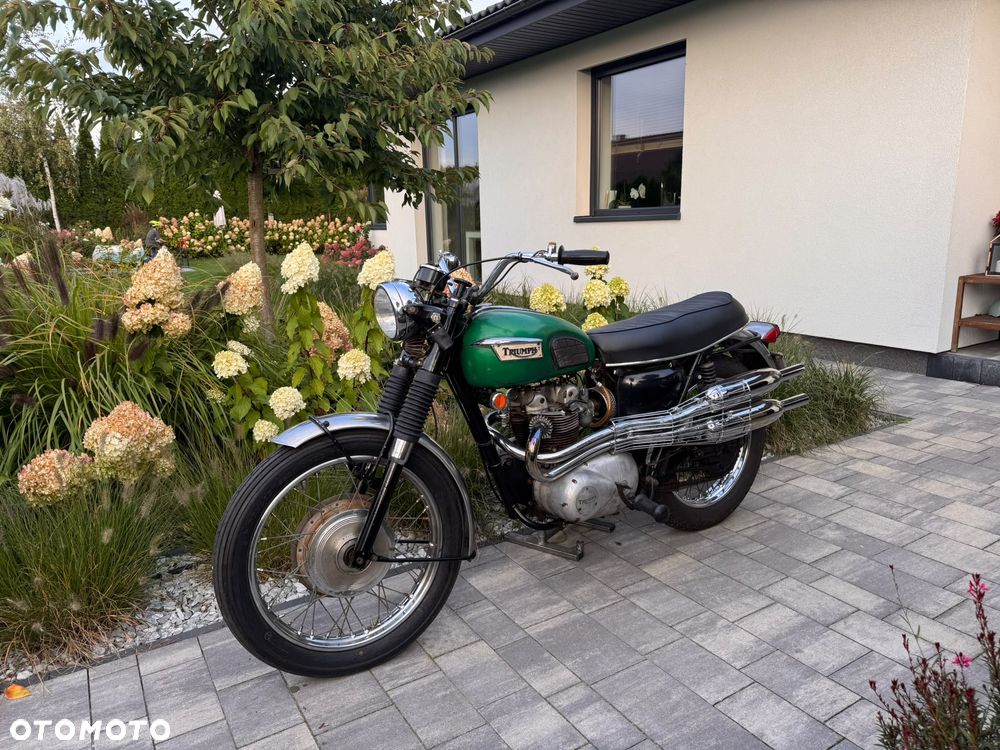 Triumph Trophy - 2