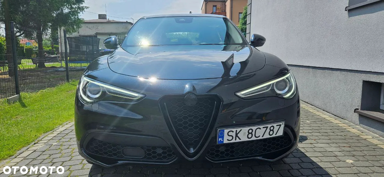 Alfa Romeo Stelvio 2.0 Turbo Veloce Q4 - 5