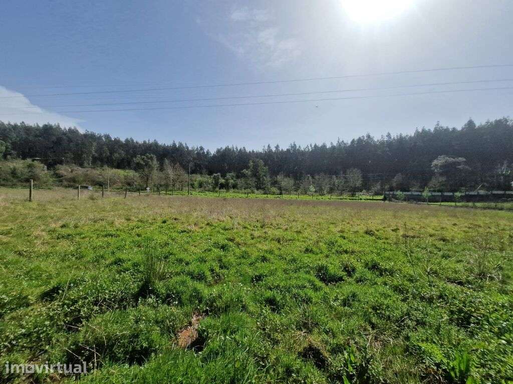 Terreno construção Moradia S. João Boavista - Grande imagem: 3/9