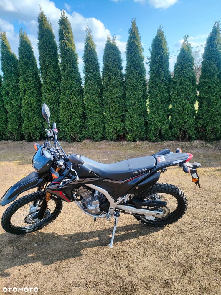 Honda CRF - 10