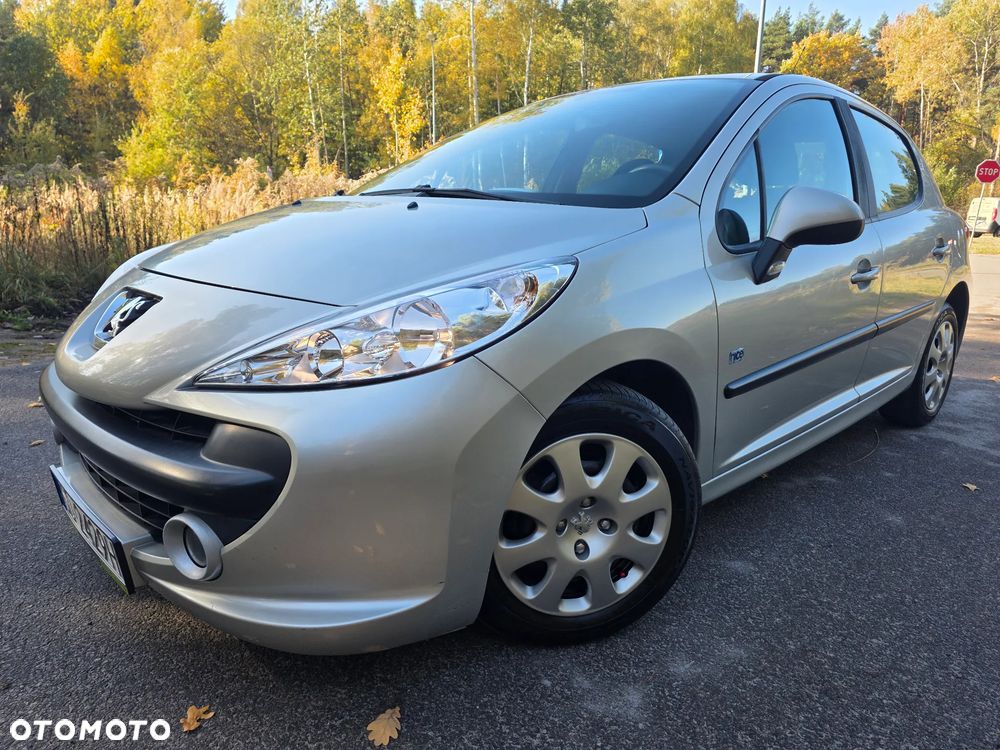 Peugeot 207 - 17