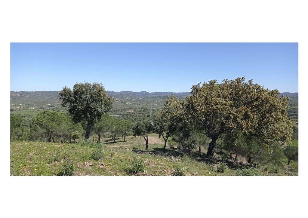 Venda Quinta/Herdade - Grande imagem: 4/10