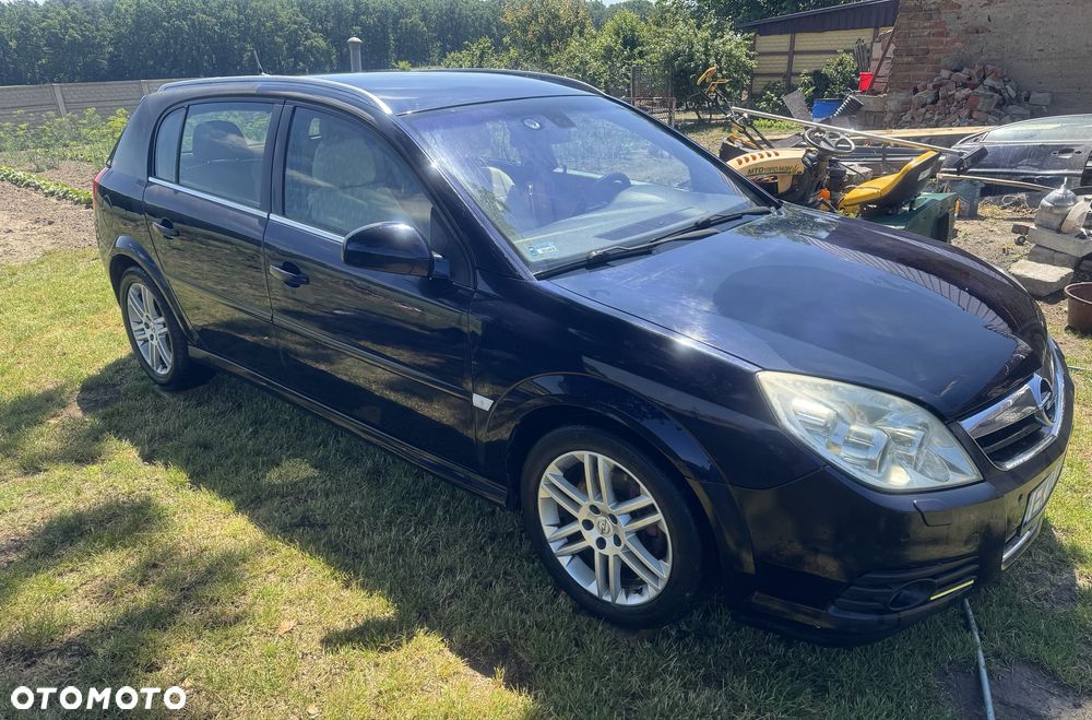 Opel Signum - 2
