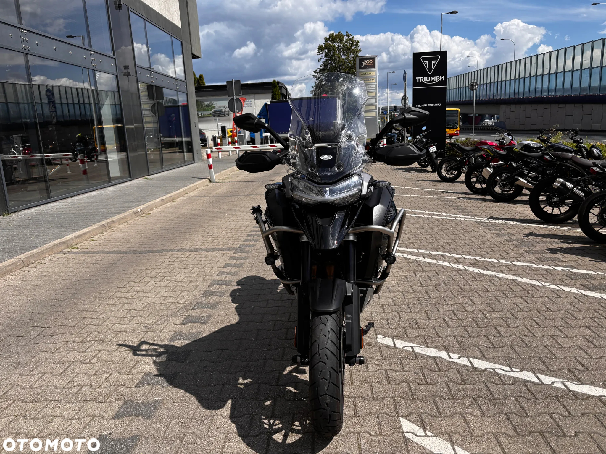 Triumph Tiger - 2