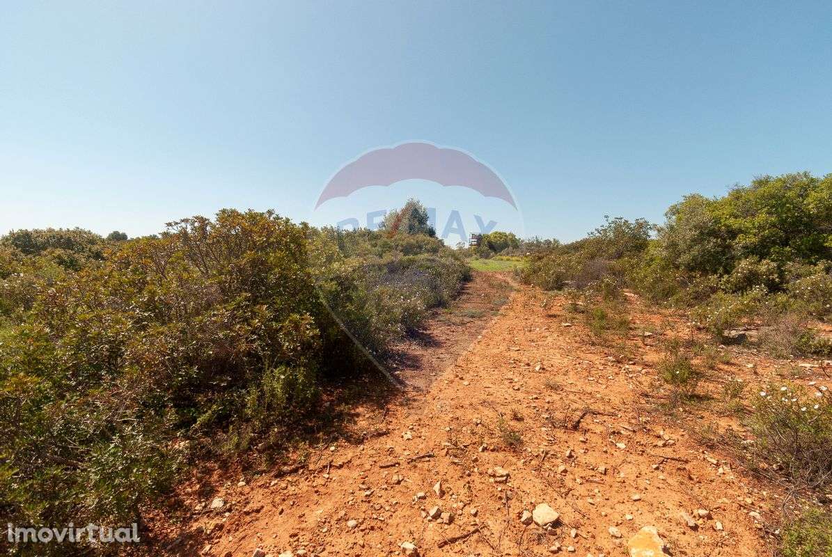 Terreno  para venda - Grande imagem: 4/10