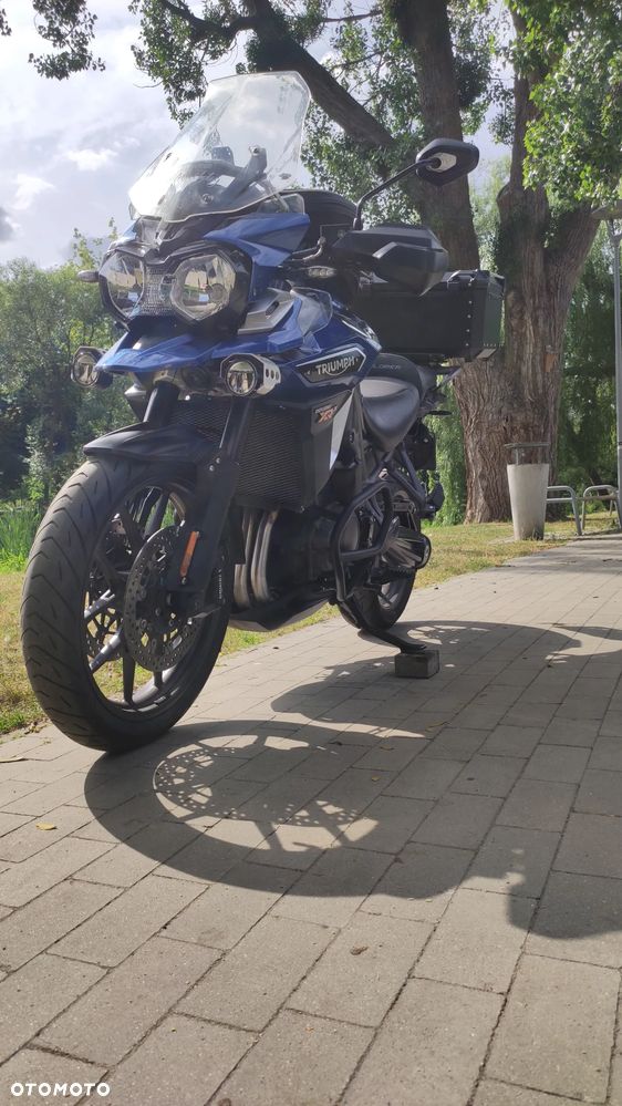 Triumph Tiger - 7