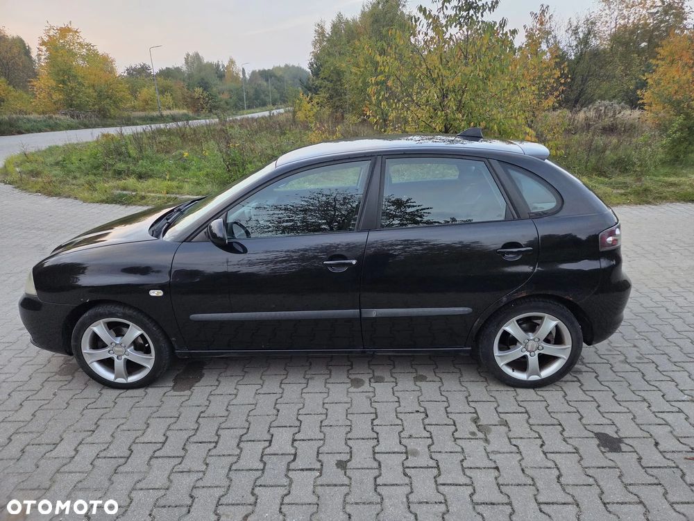 Seat Ibiza 2007 photo 4