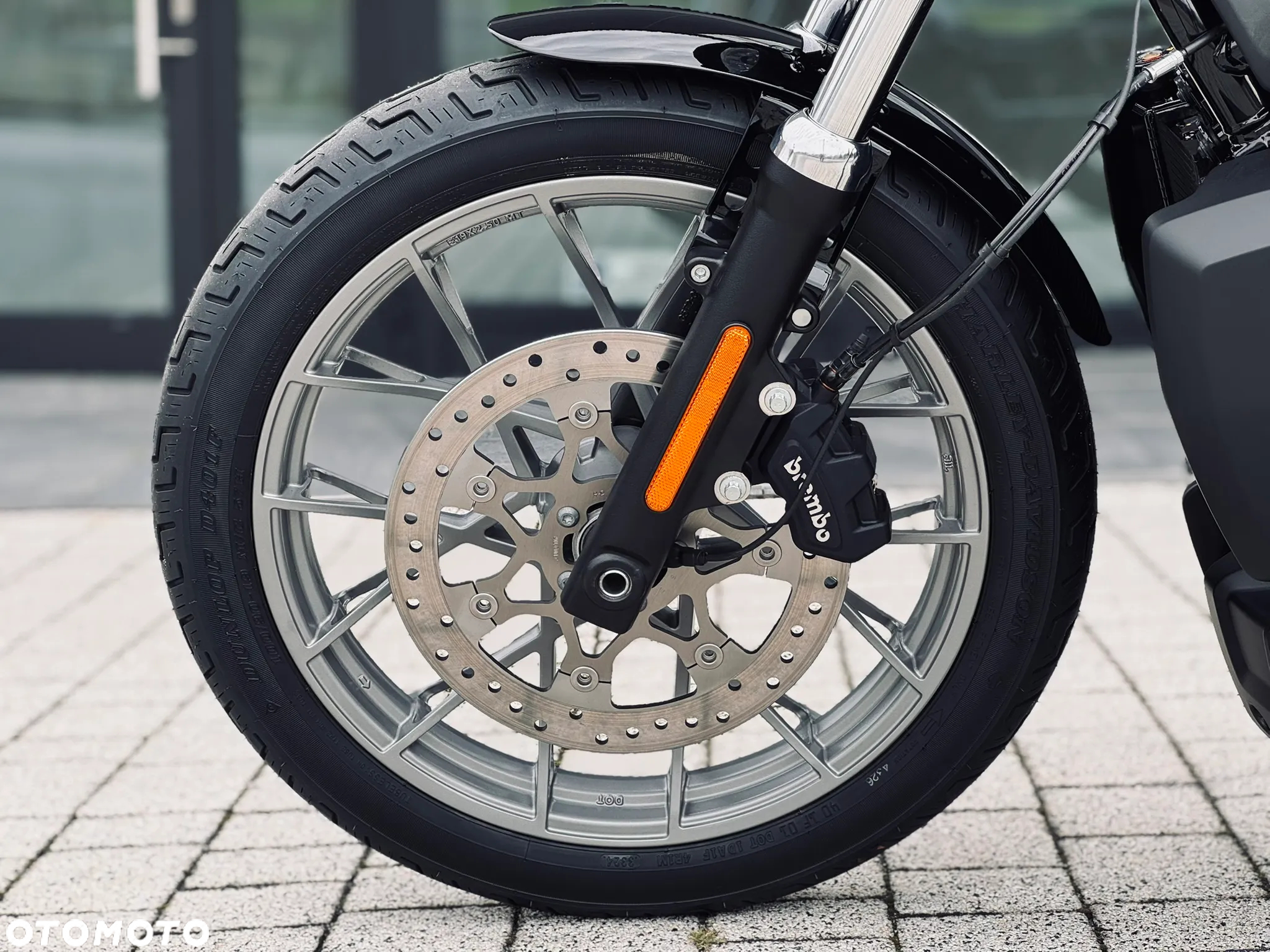 Harley-Davidson Sportster Nightster 975 - 19