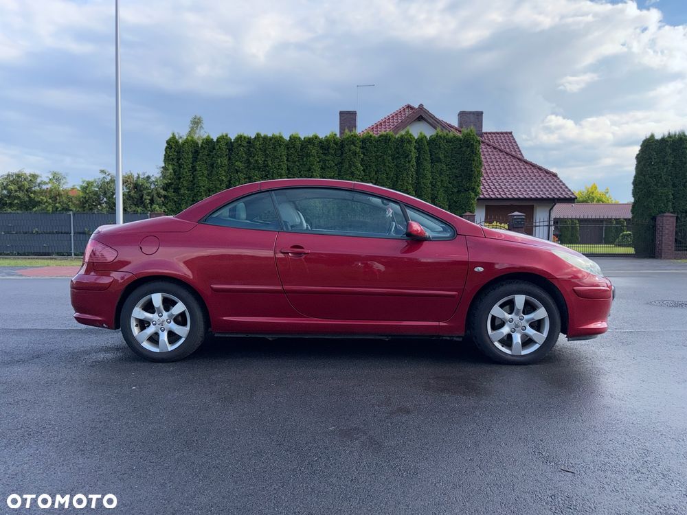 Peugeot 307 - 6
