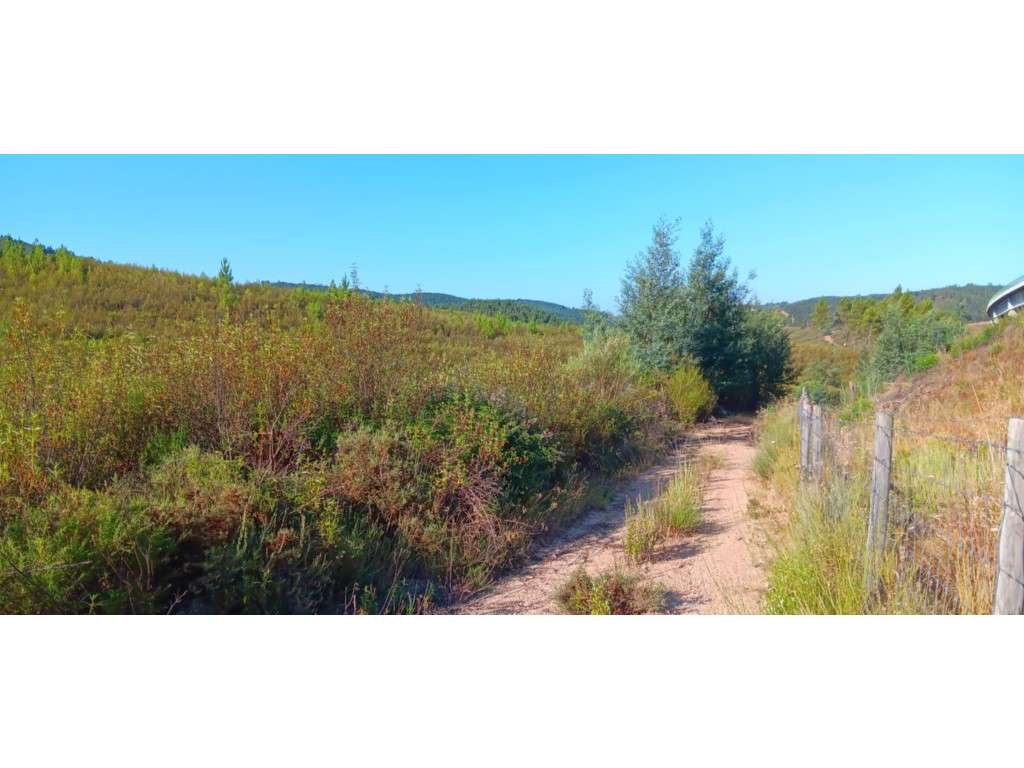 Arrendamento de Terreno Rústico - 30.400 m² - Grande imagem: 4/5