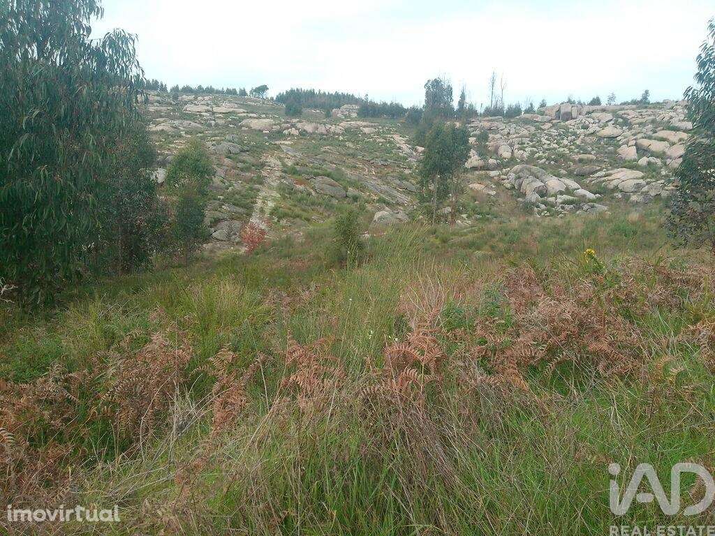Terreno em Seixo da Beira de 16000,00 m2 - Grande imagem: 5/26