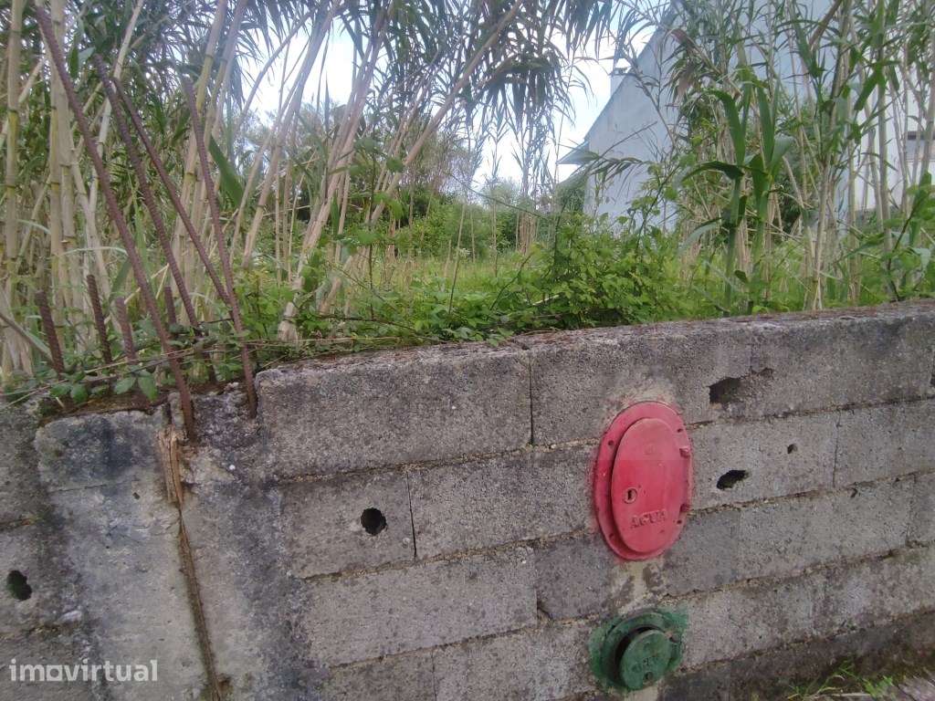 Lote de terreno para construção de moradia - Palhaça - Grande imagem: 3/21