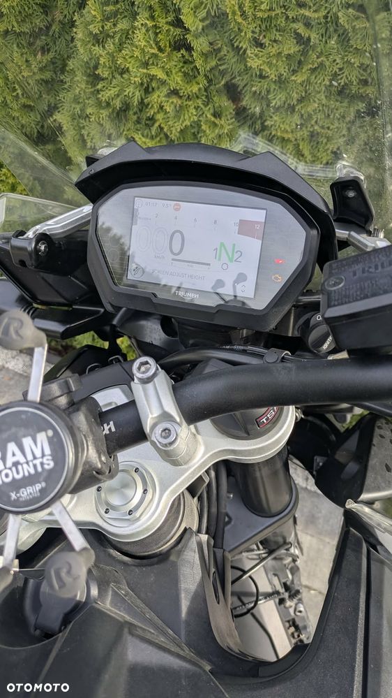 Triumph Tiger - 7