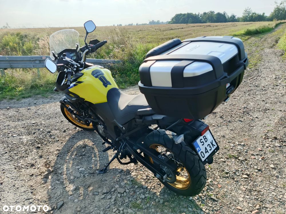 Suzuki DL - 22