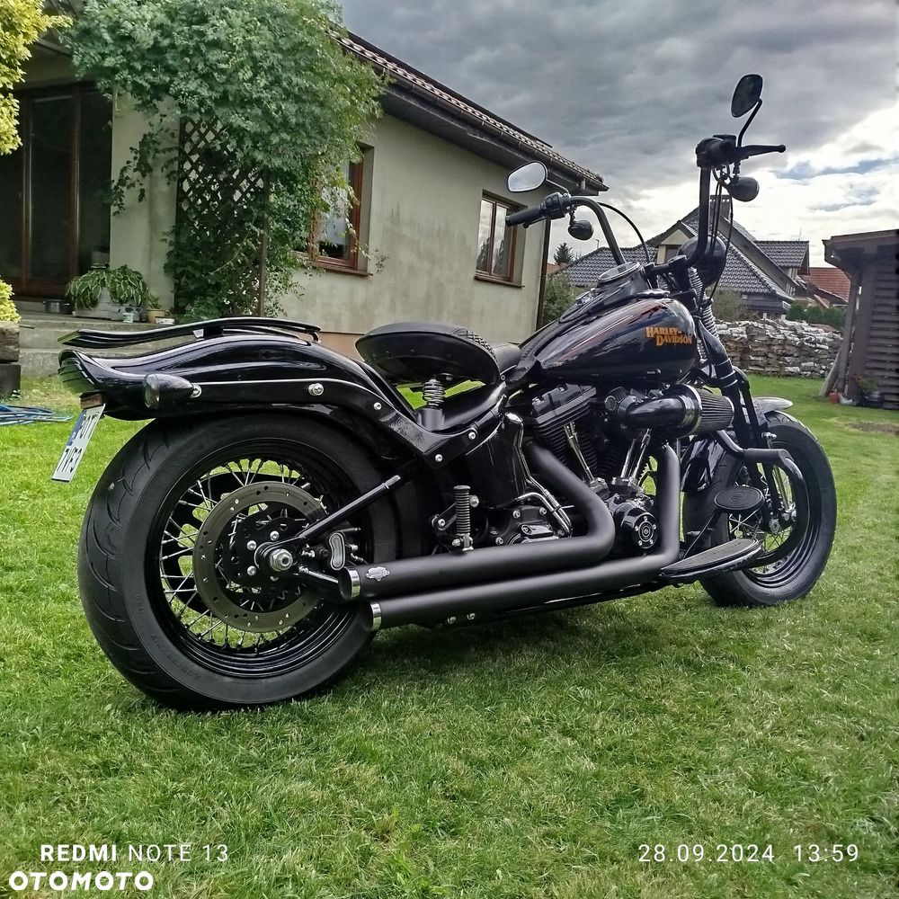 Harley-Davidson Softail Cross Bones - 18
