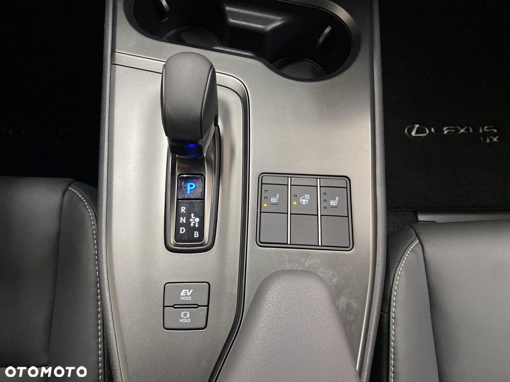 Lexus UX 300h F Sport Design - 19