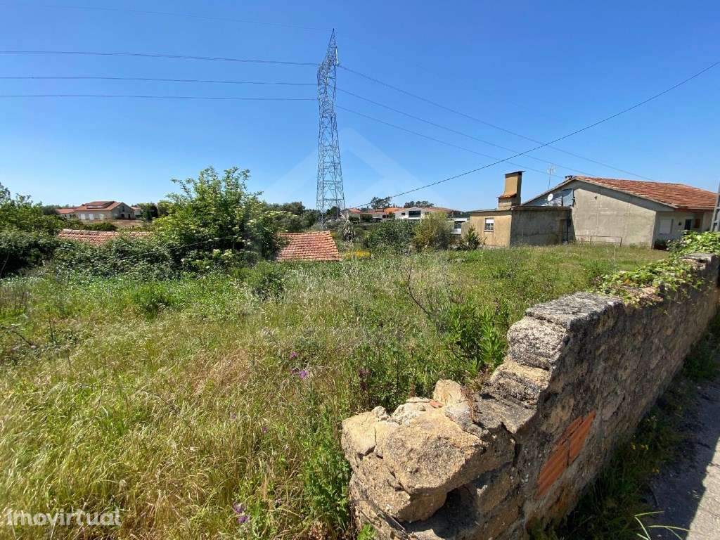 Terreno Rústico em Anadia - Grande imagem: 4/9