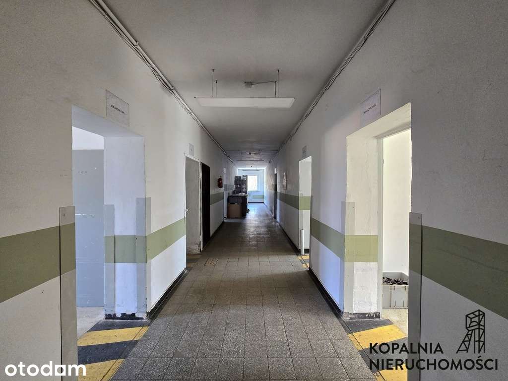 Obiekt Produkcyjno-Usługowy | Świetna Lokalizacja - Pełny obrazek: 4/16