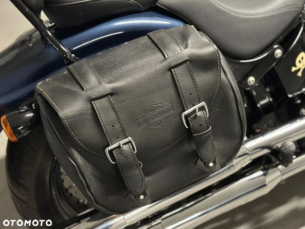 Harley-Davidson Softail Cross Bones - 10