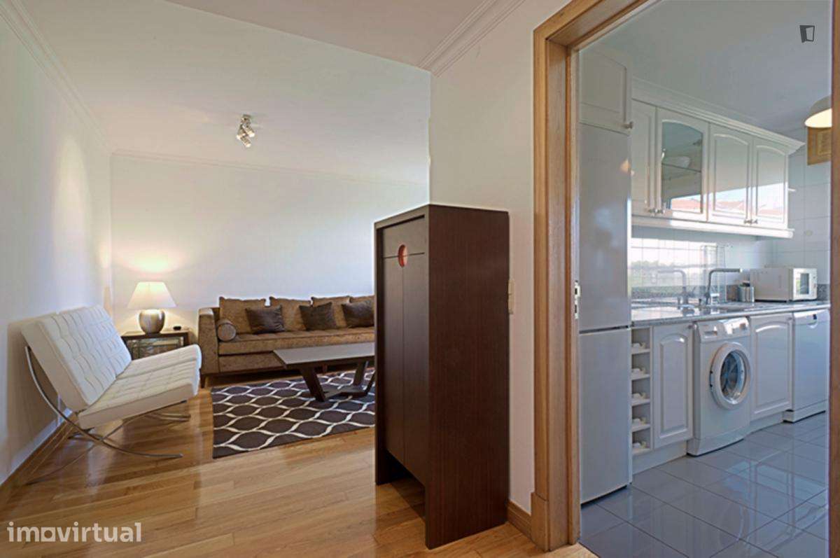 Apartamento com 1 quartos - localizado em Saldanha Lisbon - Grande imagem: 2/23