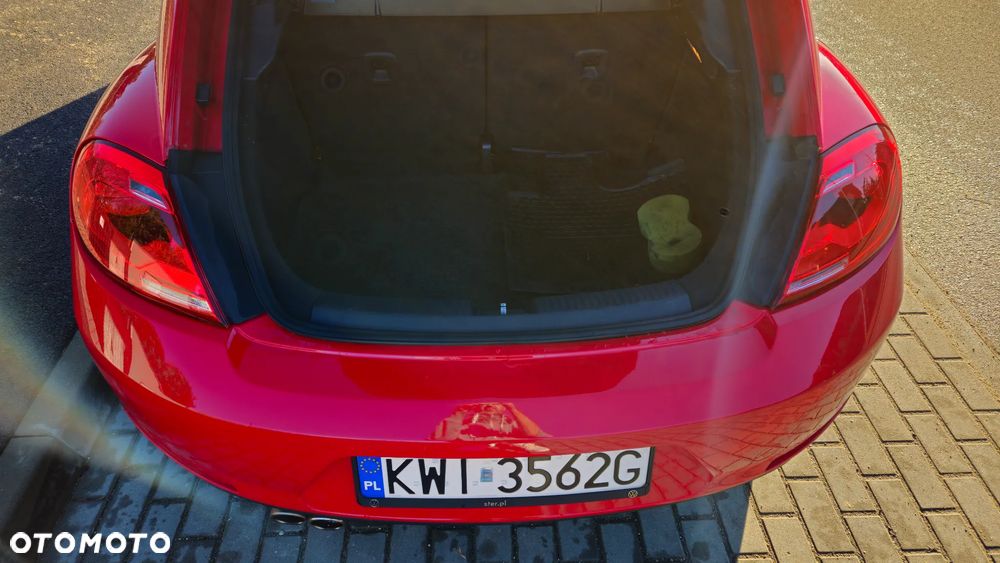 Volkswagen Beetle - 33