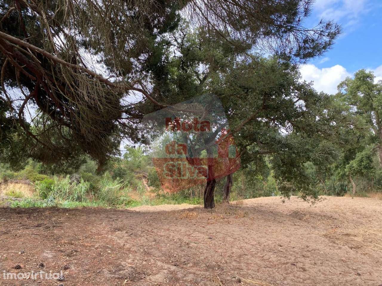 Excelente Terreno em Melides Valinho da Estrada - Grande imagem: 2/18
