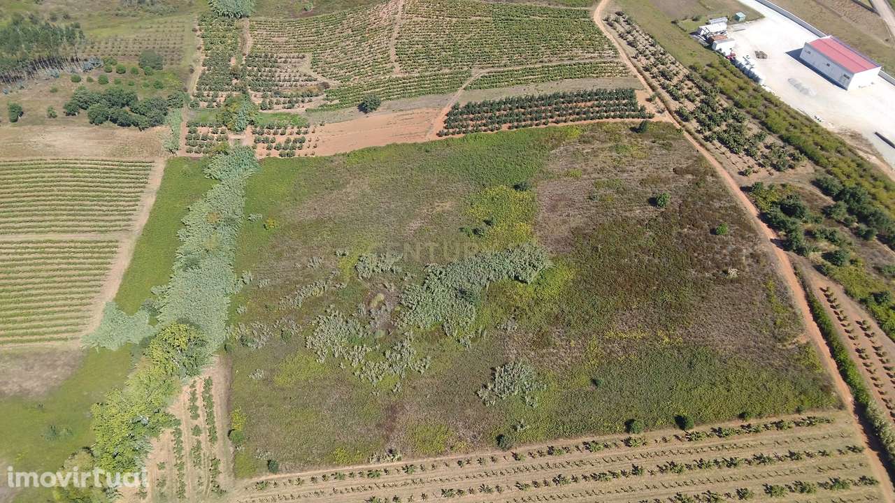 Terreno Rústico de 10.200 m² à Venda na Portela, Bombarral – Ideal par - Grande imagem: 3/9
