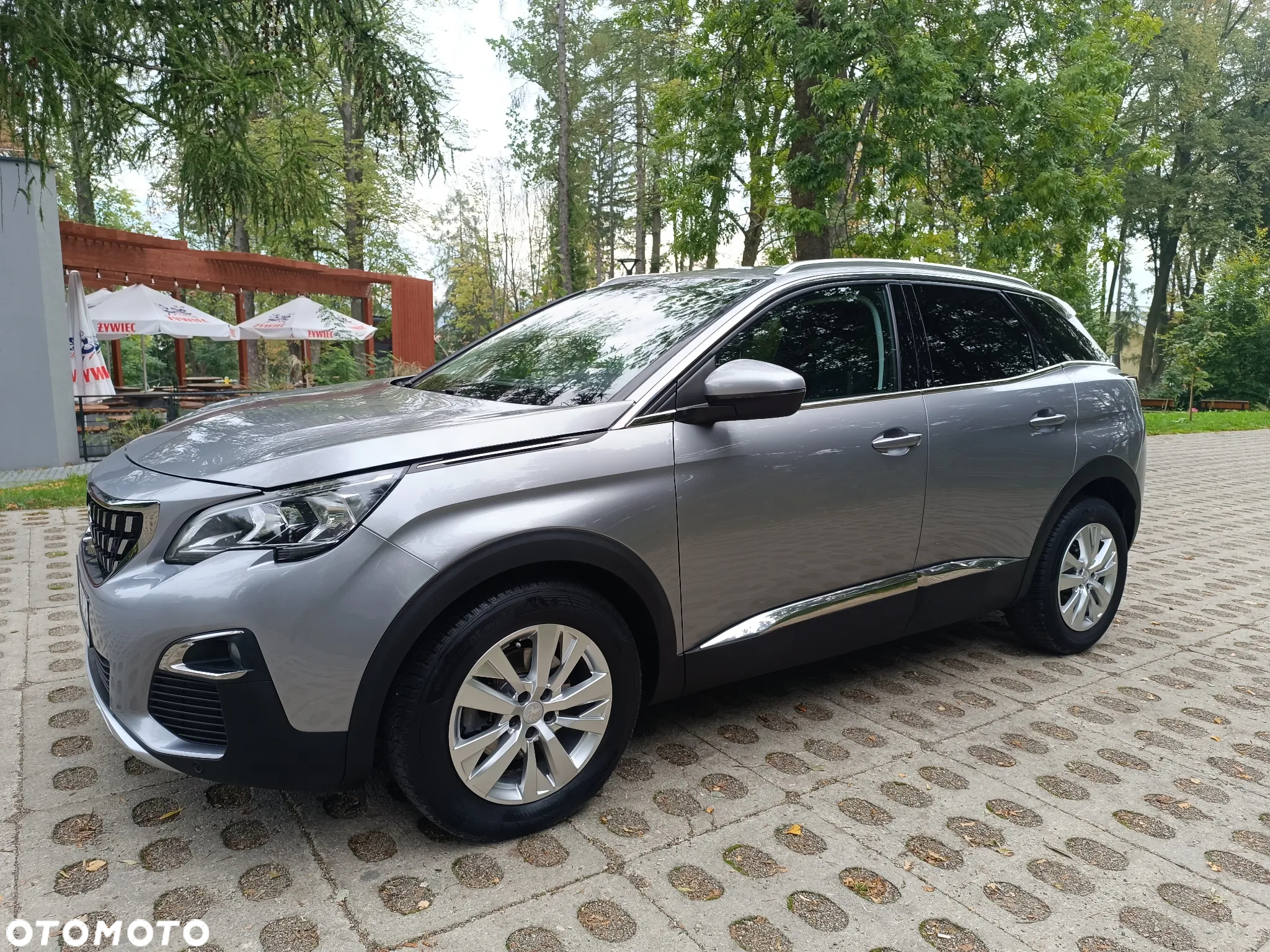 Peugeot 3008 - 11