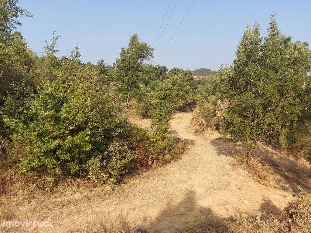 Terreno em Côja - Grande imagem: 3/5
