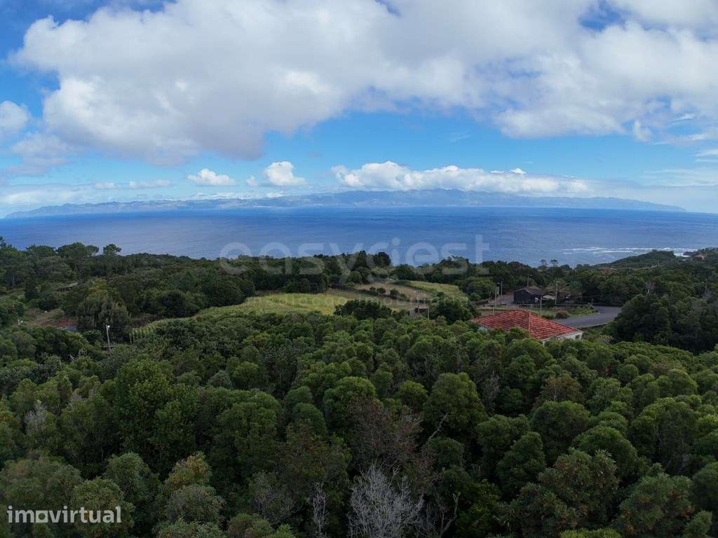 Terreno com 9.680 m² e vista para São Jorge - São Vicente, Santo An...