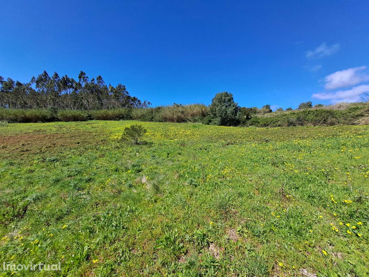 Terreno Agrícola com 26.760 m² no Vimeiro – Lourinhã - Grande imagem: 5/16