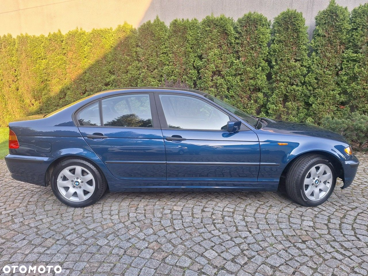 BMW Seria 3 318i Edition Exclusive - 36