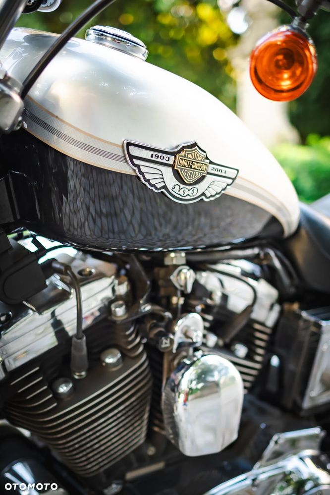 Harley-Davidson Sportster Custom 1200C - 10