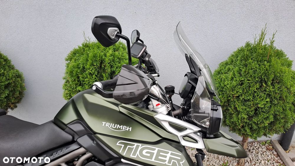 Triumph Tiger - 16