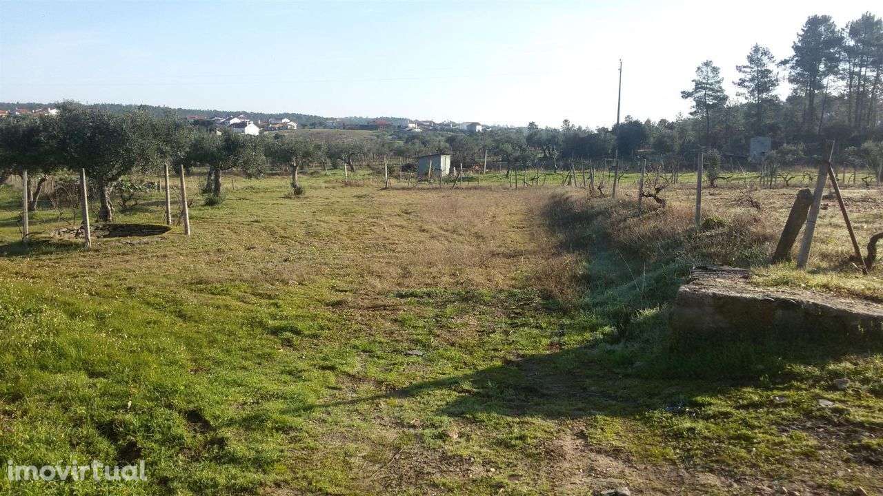 Terreno - Grande imagem: 4/5