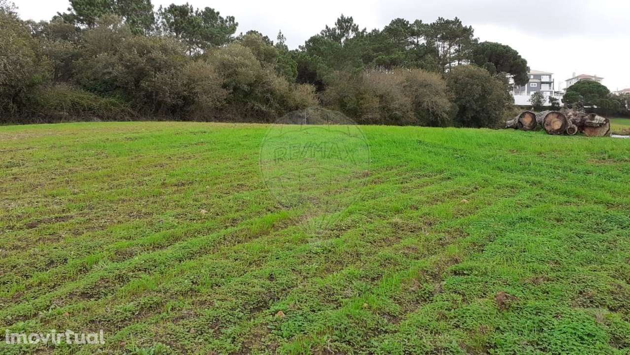 Terreno  para Venda - Grande imagem: 3/3