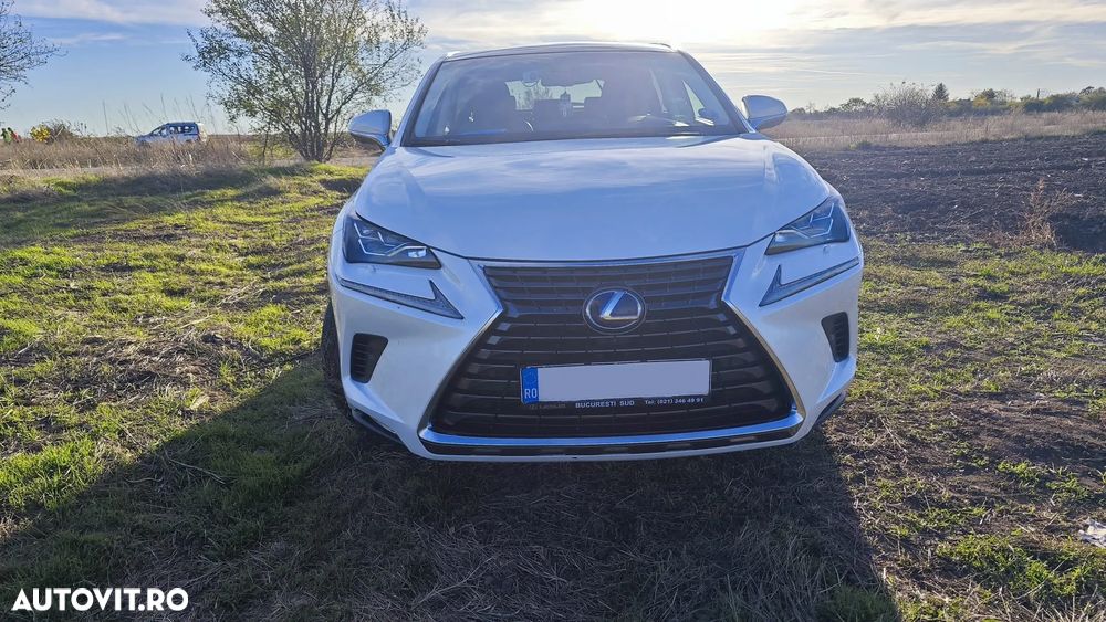 Lexus Seria NX 300h AWD Luxury - 3