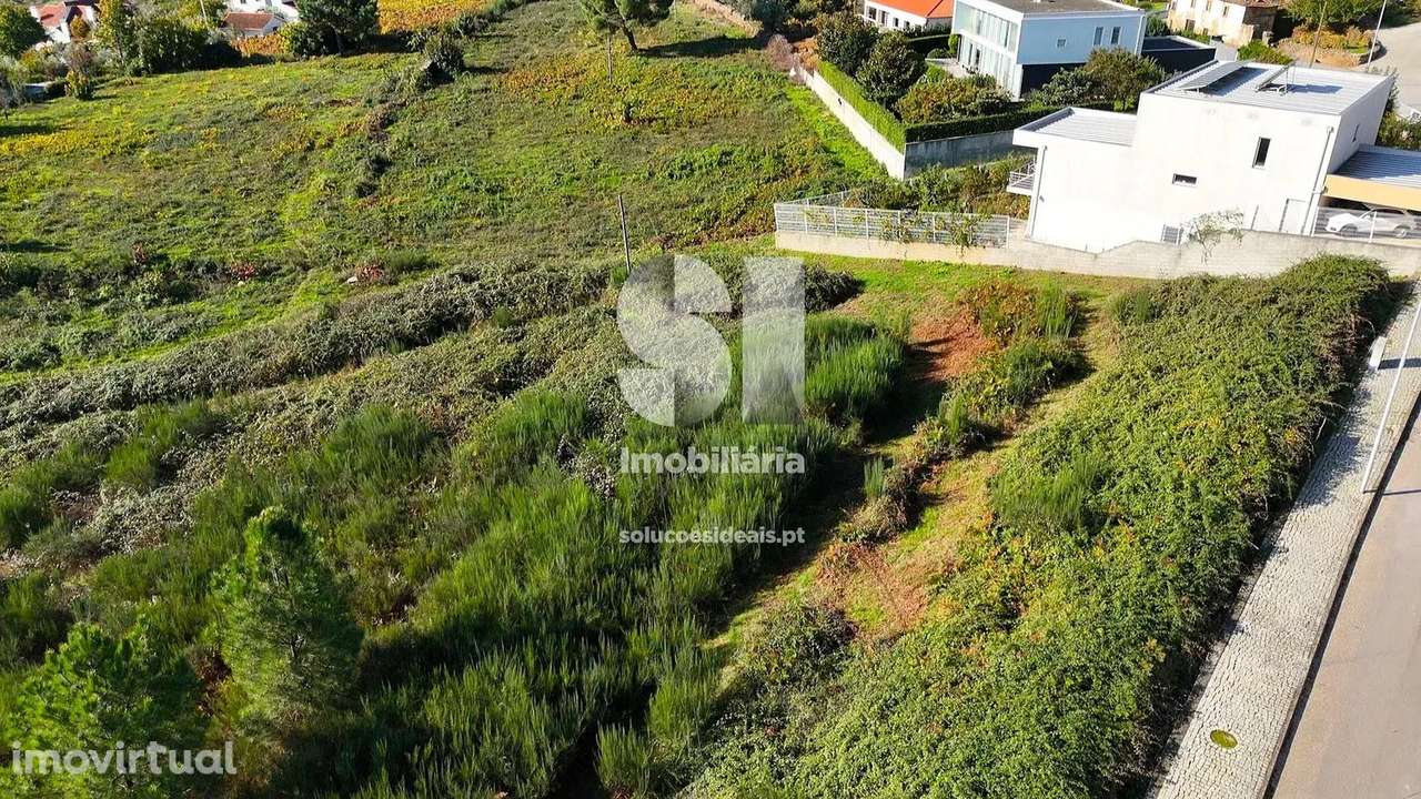 Terreno em Sabrosa - Grande imagem: 3/12