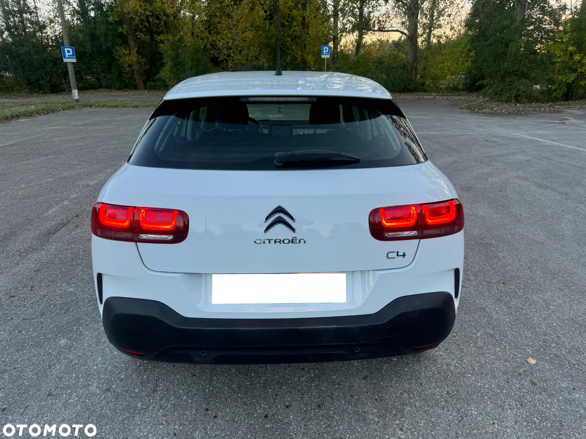 Citroën C4 Cactus 1.2 PureTech Feel S&S EAT6 - 19