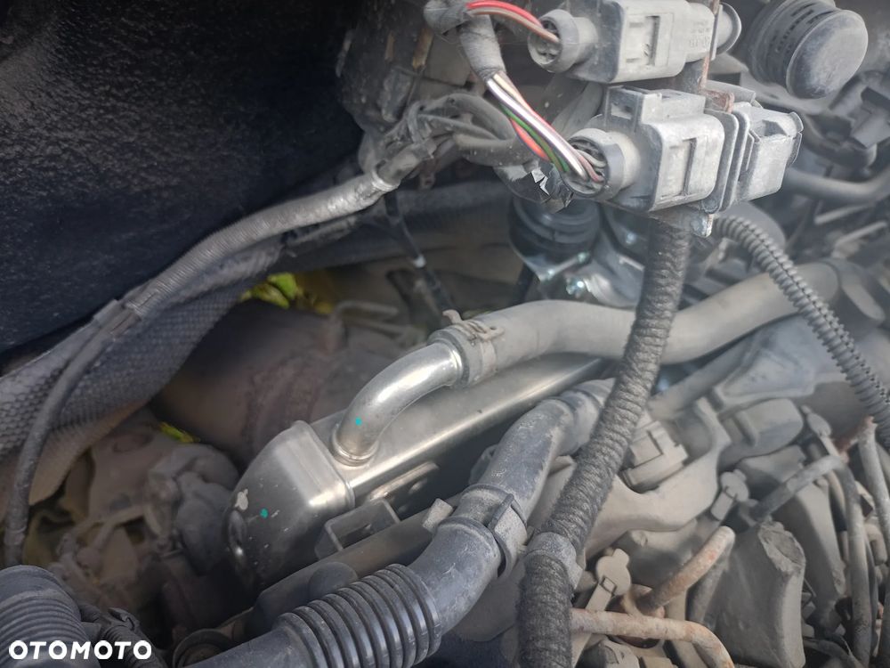 Volkswagen T5 - 17