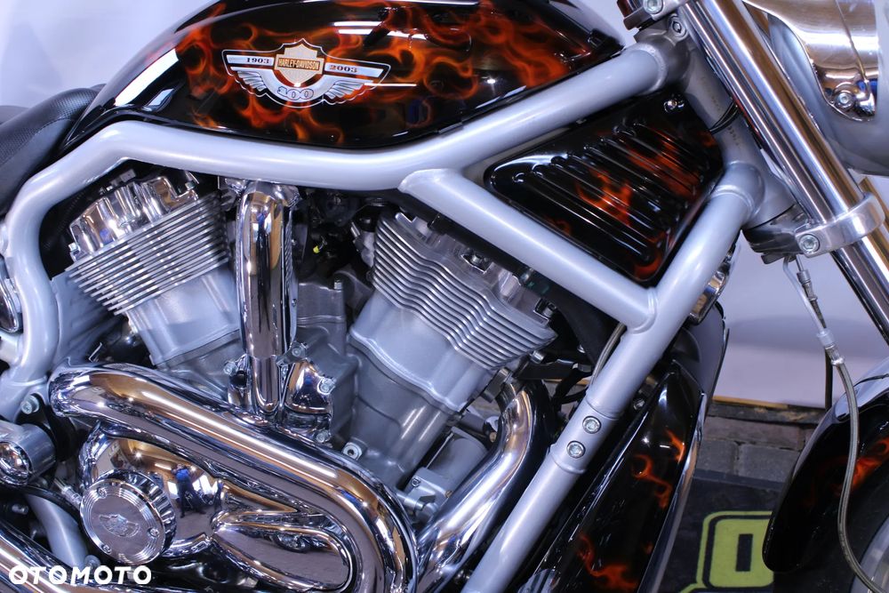 Harley-Davidson V-Rod Street Rod - 10