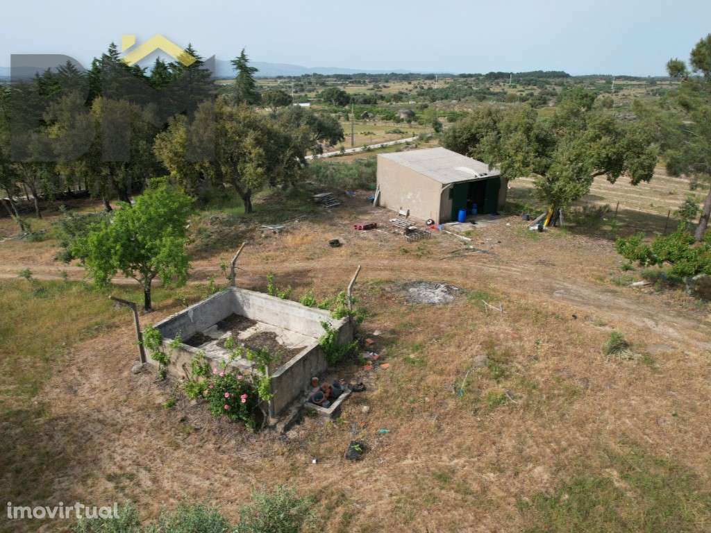 Quinta com 2,1 hectares em Castelo Branco - Grande imagem: 3/12
